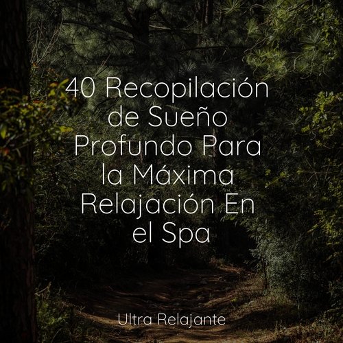 40 Recopilación de Sueño Profundo Para la Máxima Relajación En el Spa