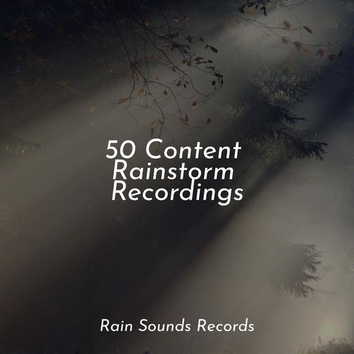 50 Content Rainstorm Recordings