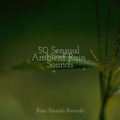 50 Sensual Ambient Rain Sounds