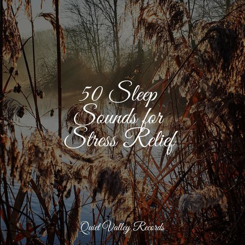 50 Sleep Sounds for Stress Relief