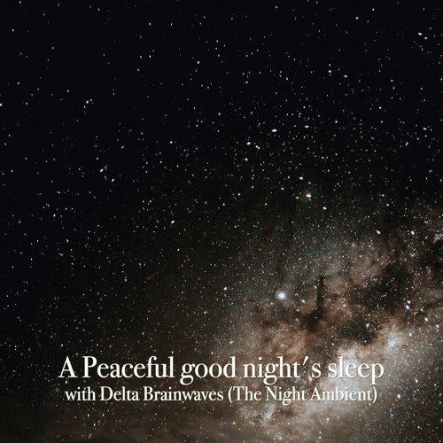 A Peaceful Good Night's Sleep with Delta Brainwaves (The Night Ambient)