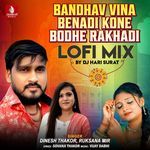 Bandhav Vina Benadi Kone Bodhe Rakhadi (Lofi Mix)