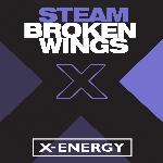 Broken Wings (Remix)