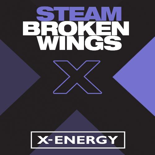 Broken Wings