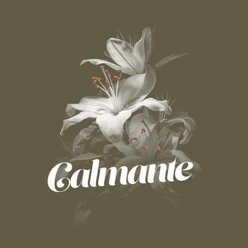 Calmante_poster_image