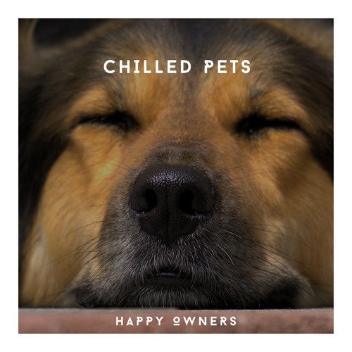 Tired Dog Chill Out cover art