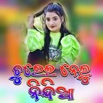 Churei Nelu Nindiaa