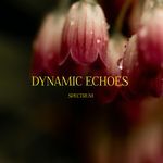 Dynamic Echoes