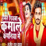 Hamr Piyaba Kamale Campani Me