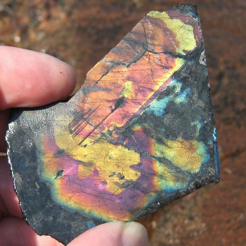 Have You Seen A Spectrolyte