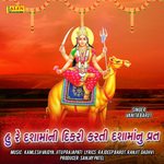 Hu Re Dashamani Dikri Karti Dashamanu Vrat artwork