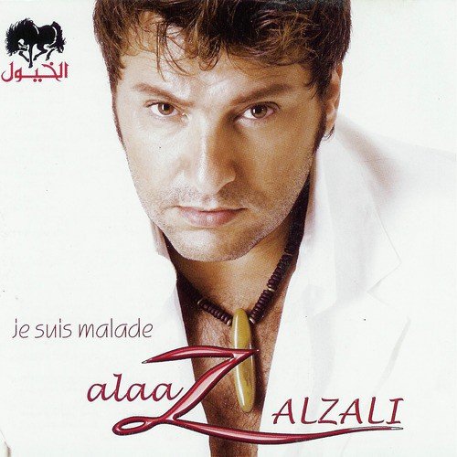 Alaa Zalzali