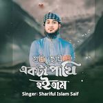 Jodi Choto Ekta Pakhi Hoitam