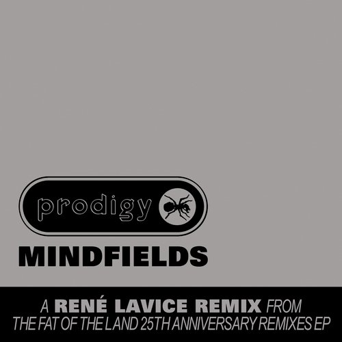 Mindfields (René LaVice Remix)