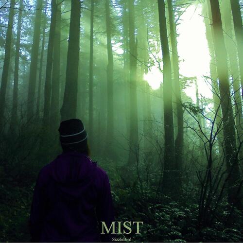 Mist (Deluxe Edition)_poster_image