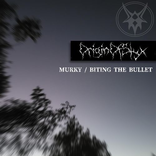 Murky cover art