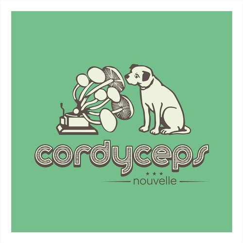 Sobrevuelo cover art