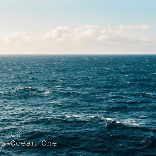 Ocean One