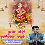 पूजा मेरी स्वीकार करो