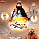 SATGURU RAVIDASS MERE