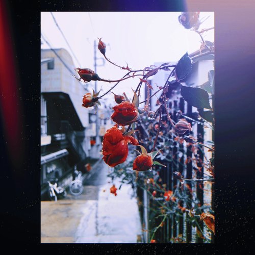 Subekaraku cover art