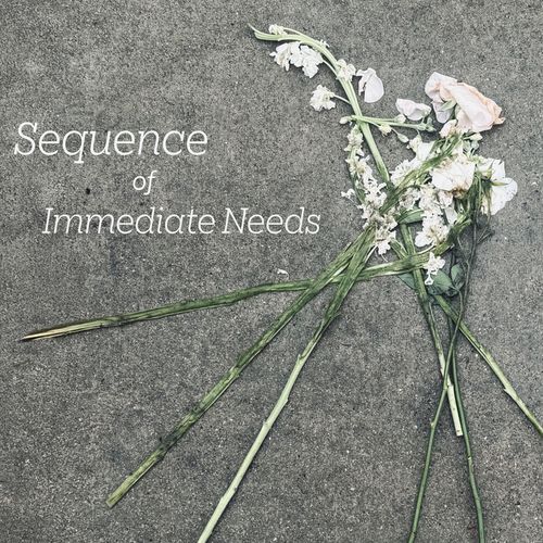 Sequence of Immediate Needs