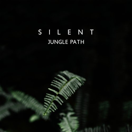 Silent Jungle Path: Imagine Walking in Jungle Forest, Nature Path to Relaxation