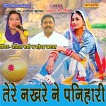 Tere Nakhre Ne Panihari