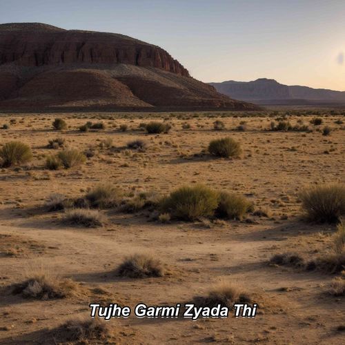 Tujhe Garmi Zyada Thi