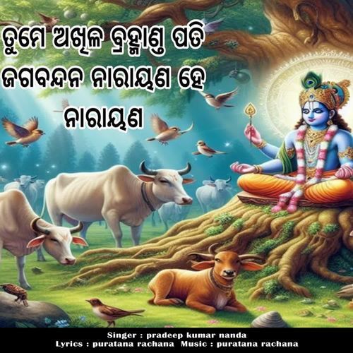 Tume Akhila Bramhanda Pati