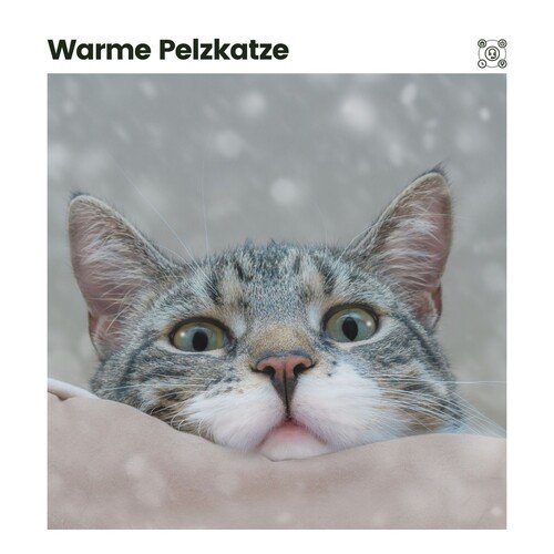 Cat's Zone of Peace cover art