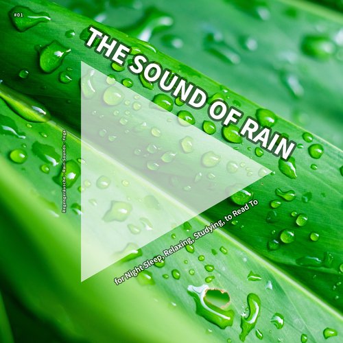 Rain Sounds to Fall Asleep cover art