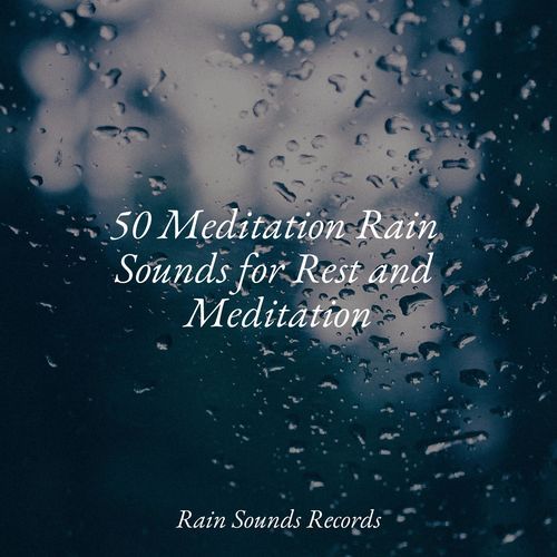 50 Meditation Rain Sounds for Rest and Meditation