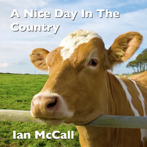 A Nice Day In The Country