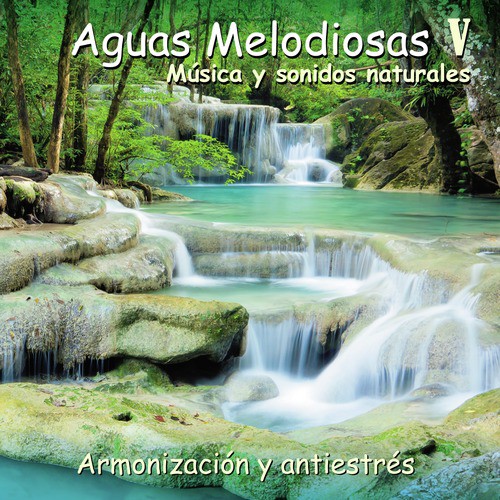 Aguas Melodiosas V