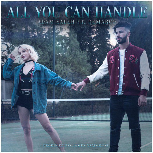 All You Can Handle (feat. Demarco)_poster_image