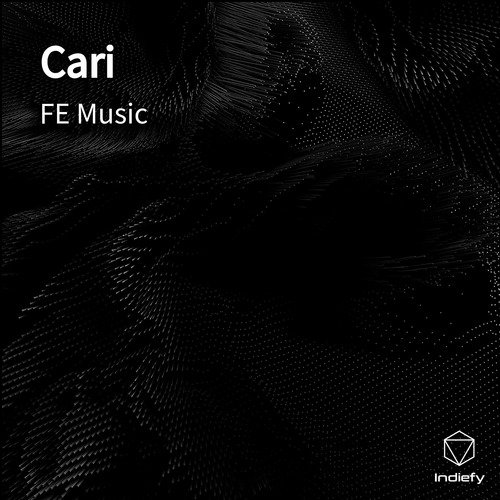 Cari cover art