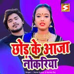 Chhod Ke Aaja Nokari