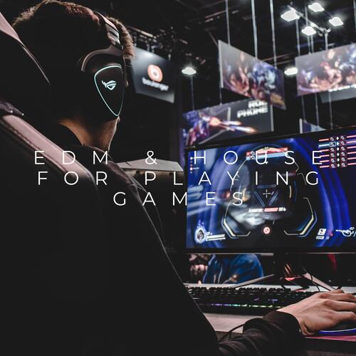 EDM &amp; House for Playing Games
