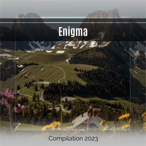 Annika cover art