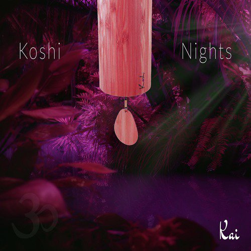 Koshi Nights