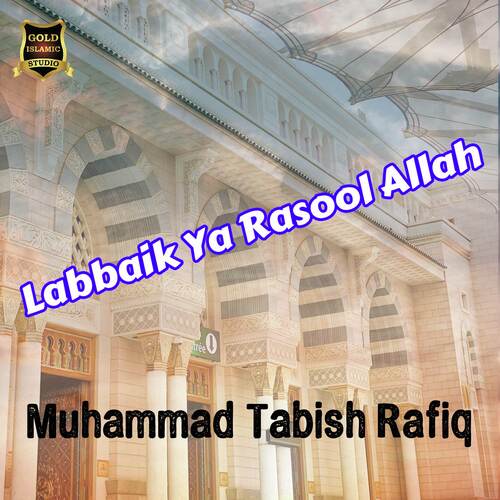Aaye Pyare Nabi