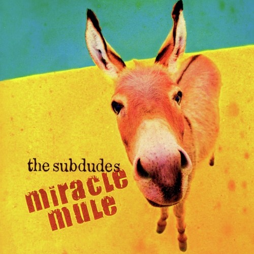 Miracle Mule