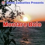 Montare Bole