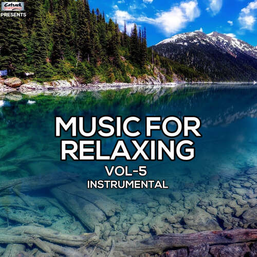 Music For Relaxing Vol 5