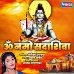 Om Namo Sadashiv