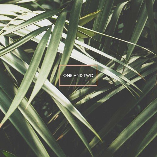 One and Two cover art