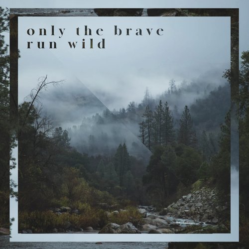 Chasing the Northern Lights cover art