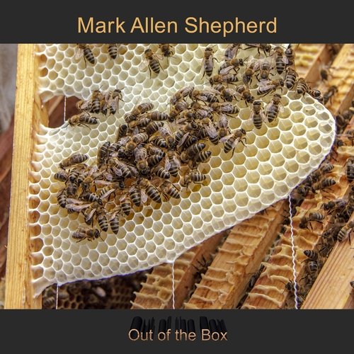 Bees Do It cover art