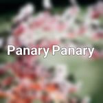 Panary Panary